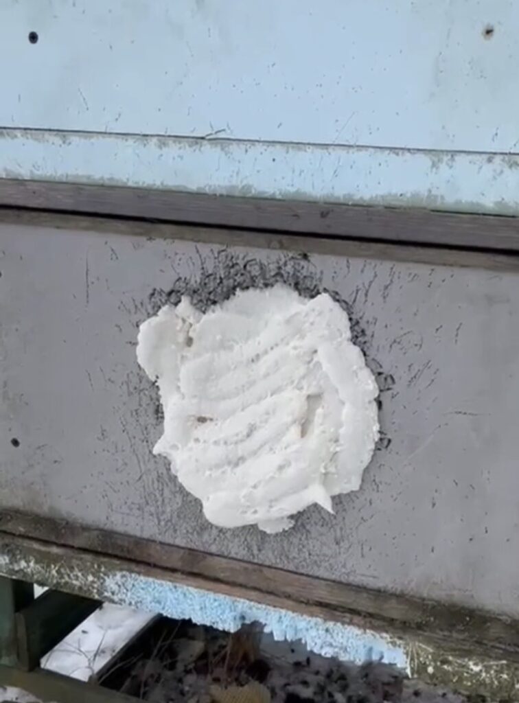 Szybka interwencja w pasiece